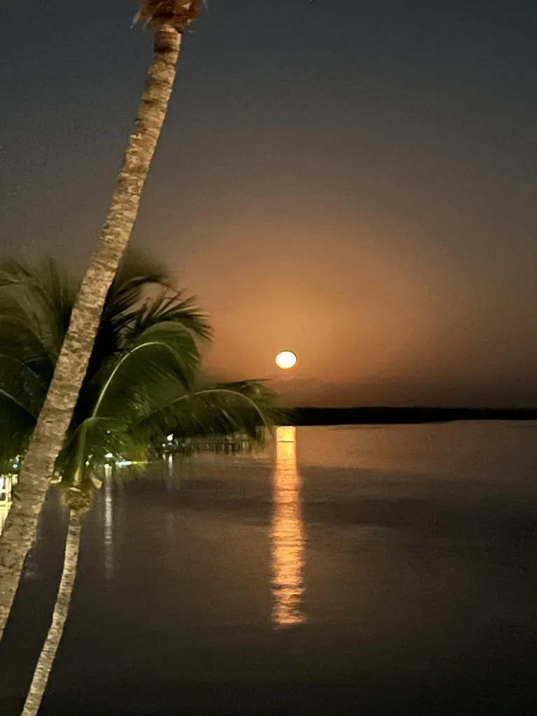 60 W Pelican Street W Naples FL 34113