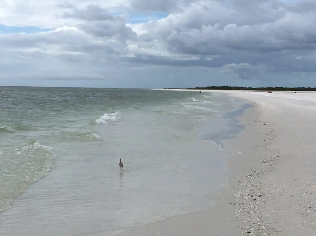 457 Tallwood Street Marco Island FL 34145