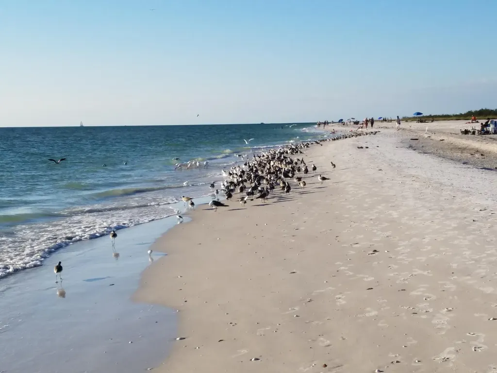 457 Tallwood Street Marco Island FL 34145