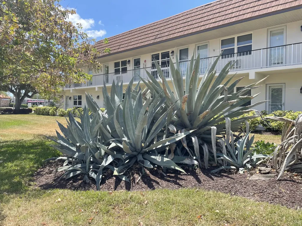 240 N Collier Boulevard Marco Island FL 34145