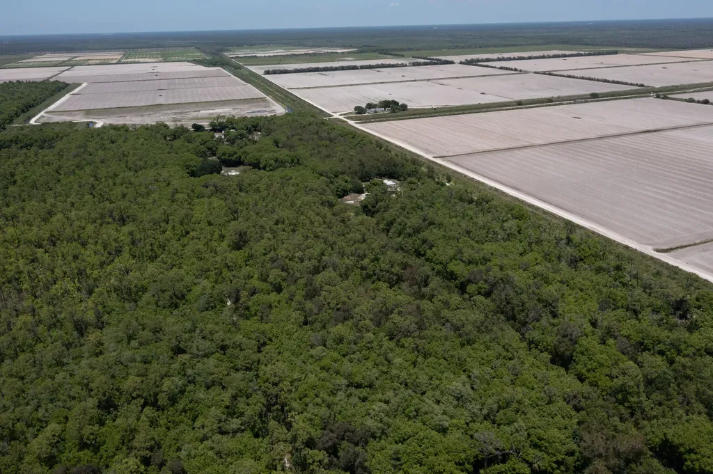 Xxx Lager Lane Naples FL 34114