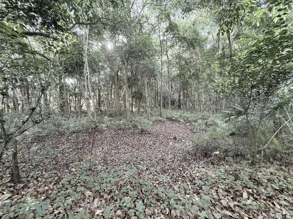 Xxx Lager Lane Naples FL 34114