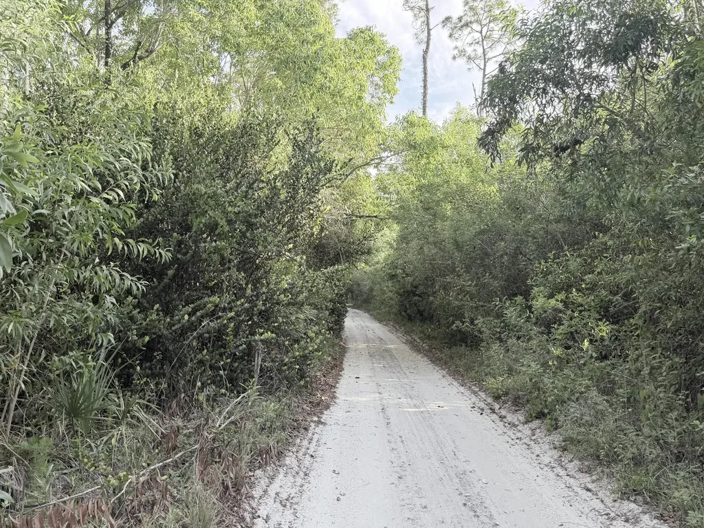 Xxx Lager Lane Naples FL 34114