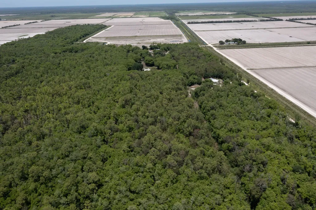 Xxx Lager Lane Naples FL 34114