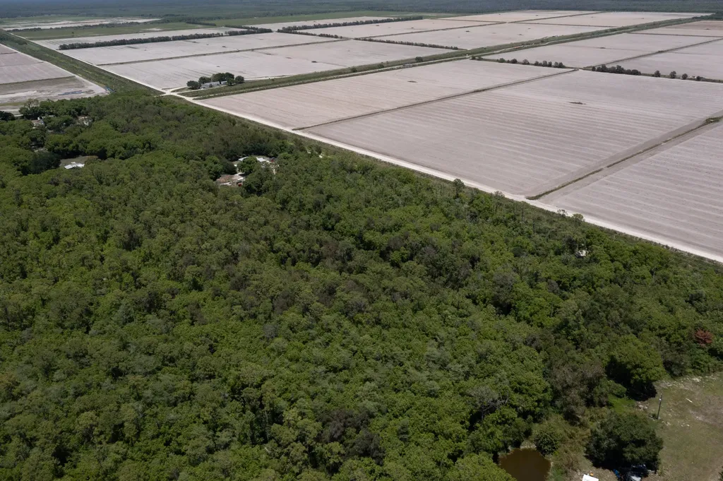 Xxx Lager Lane Naples FL 34114