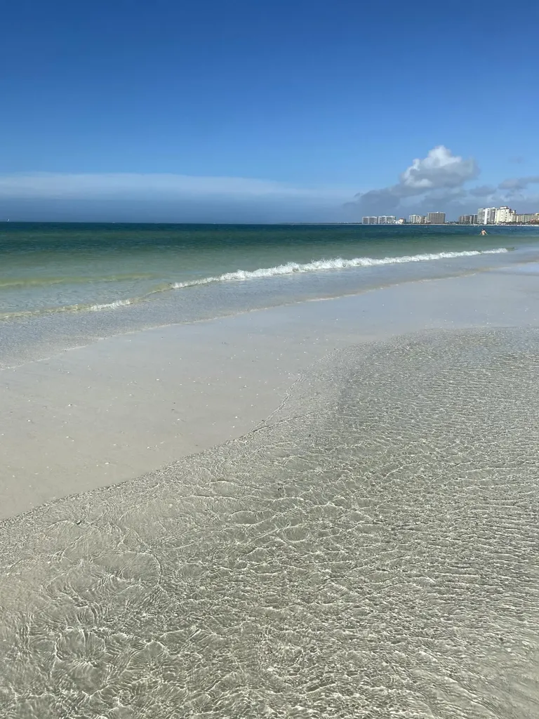 991 N Barfield Drive Marco Island FL 34145