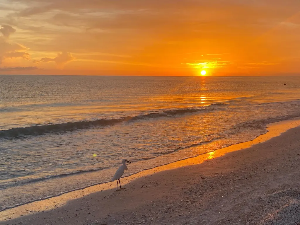 1616 Ludlow Road Marco Island FL 34145