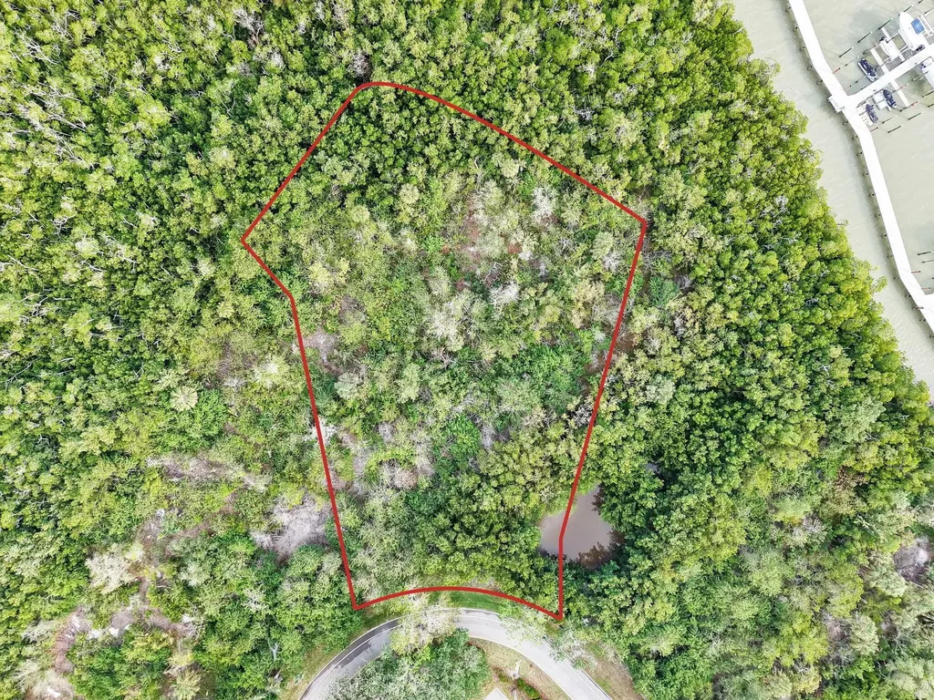 1291 Blue Hill Creek Drive Marco Island FL 34145