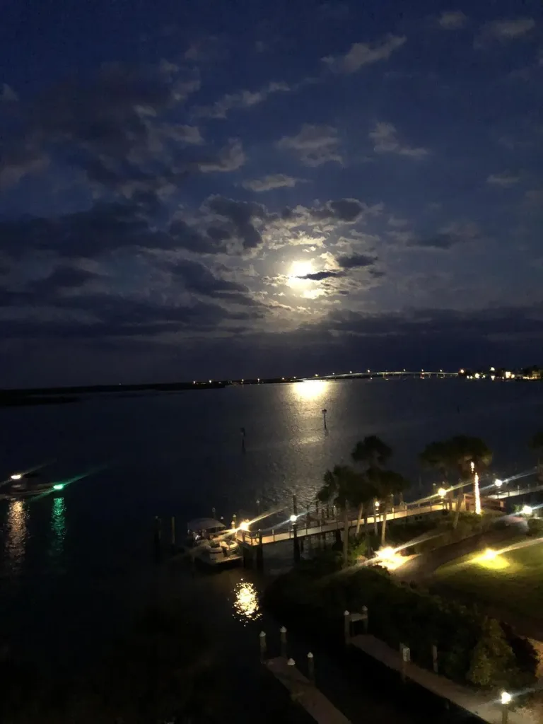 1085 Bald Eagle Drive Marco Island FL 34145