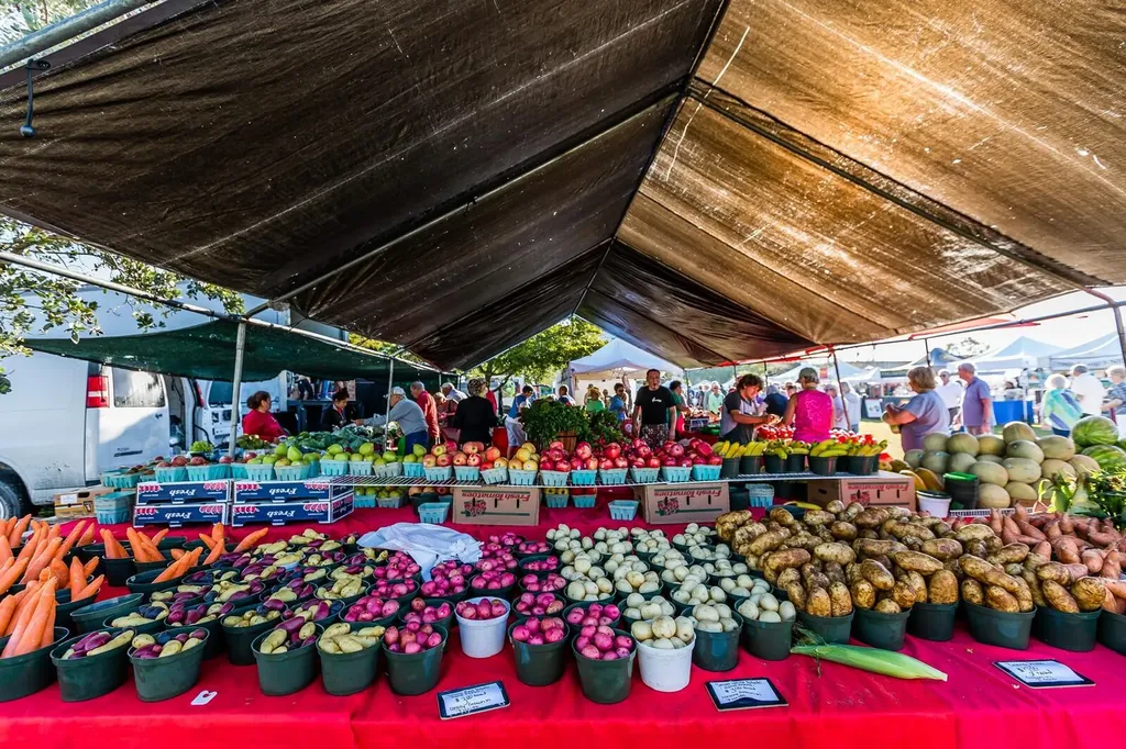 1256 Bluebird Avenue Marco Island FL 34145