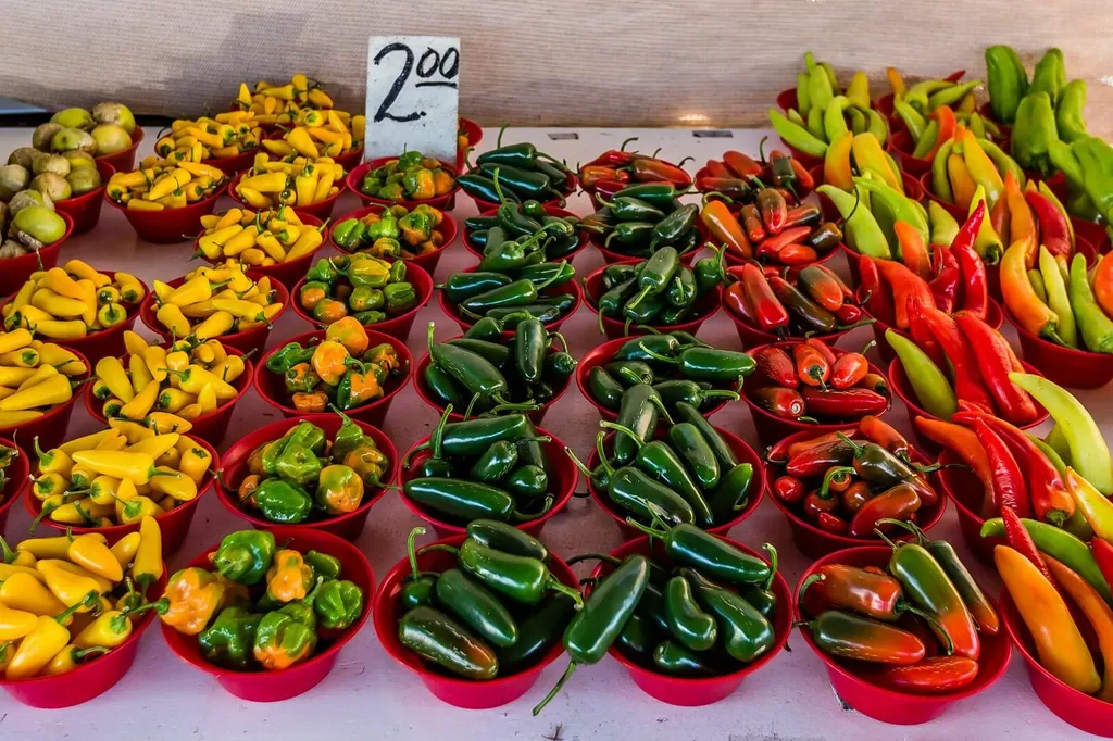 1256 Bluebird Avenue Marco Island FL 34145