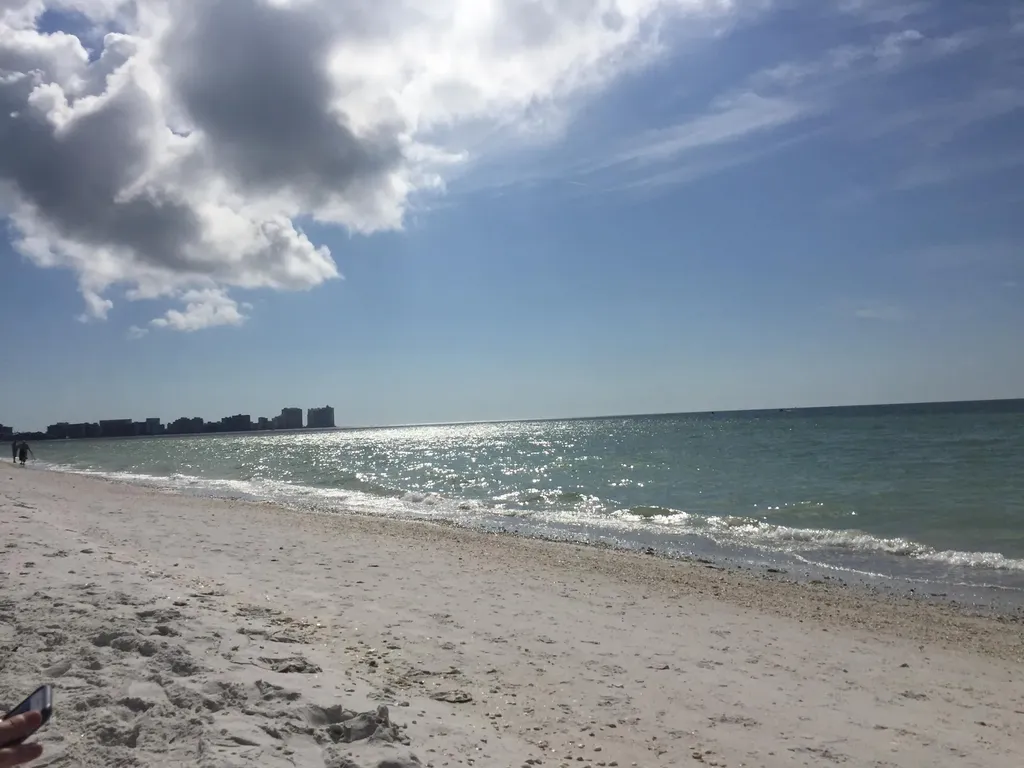 8620 S Cedar Hammock Naples FL 34112