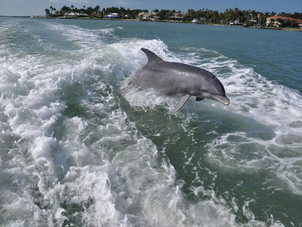 111 Newport Cay Naples FL 34114