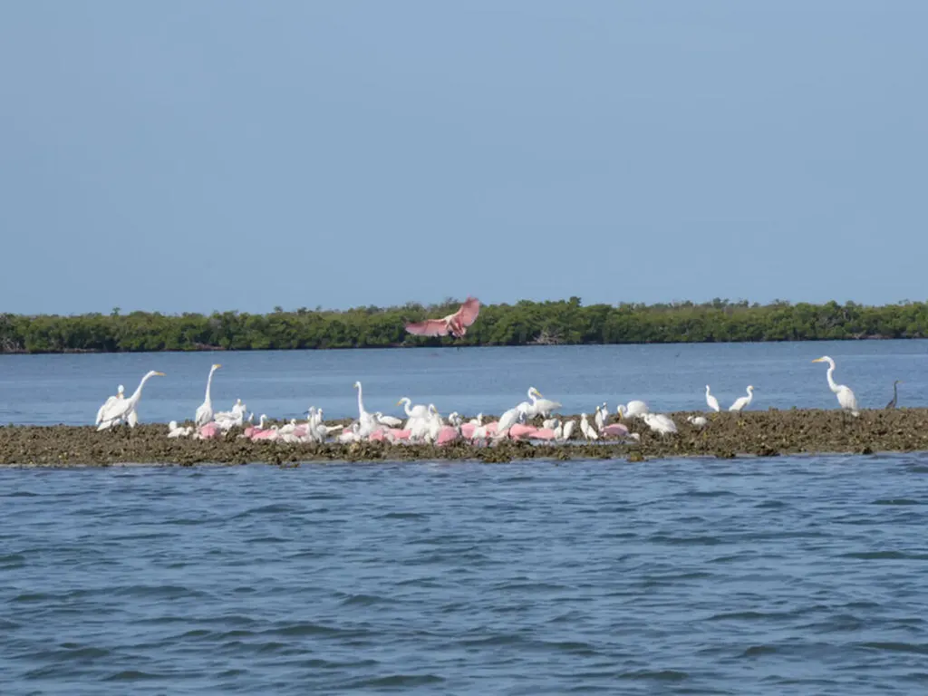 111 Newport Cay Naples FL 34114