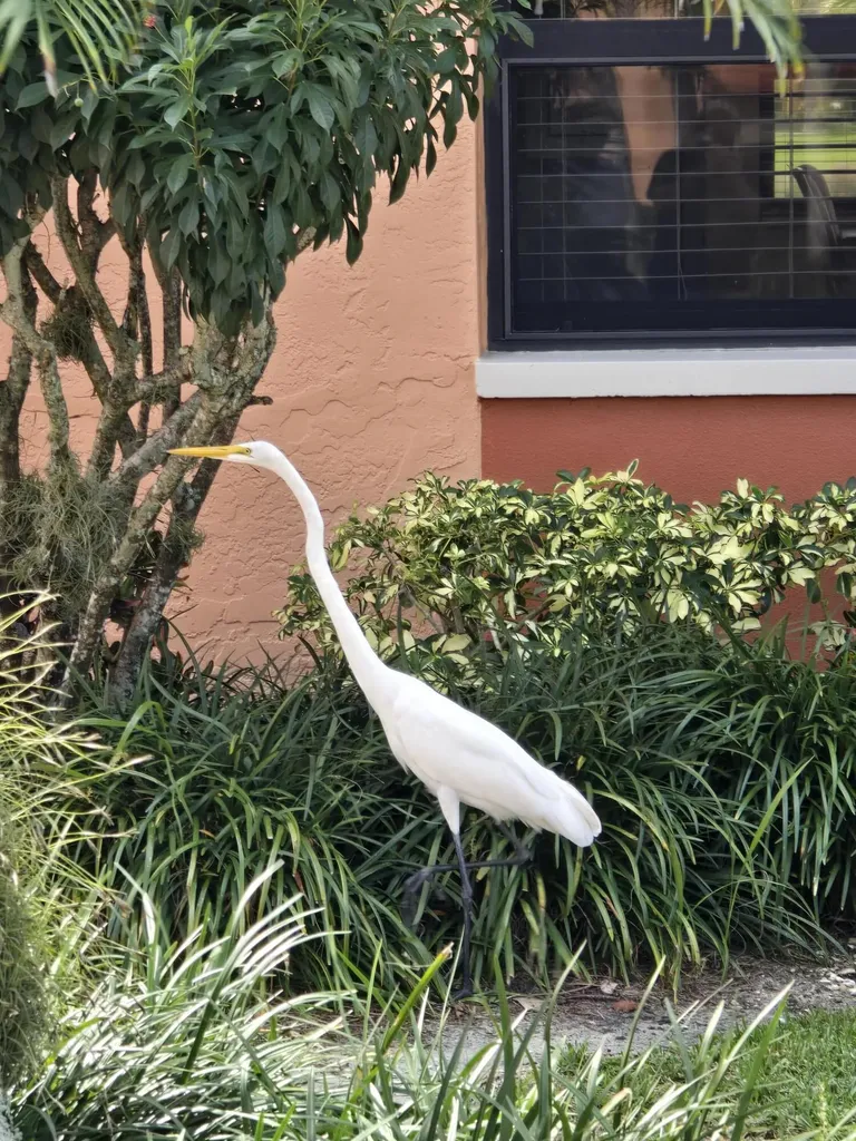 1532 Mainsail Naples FL 34114