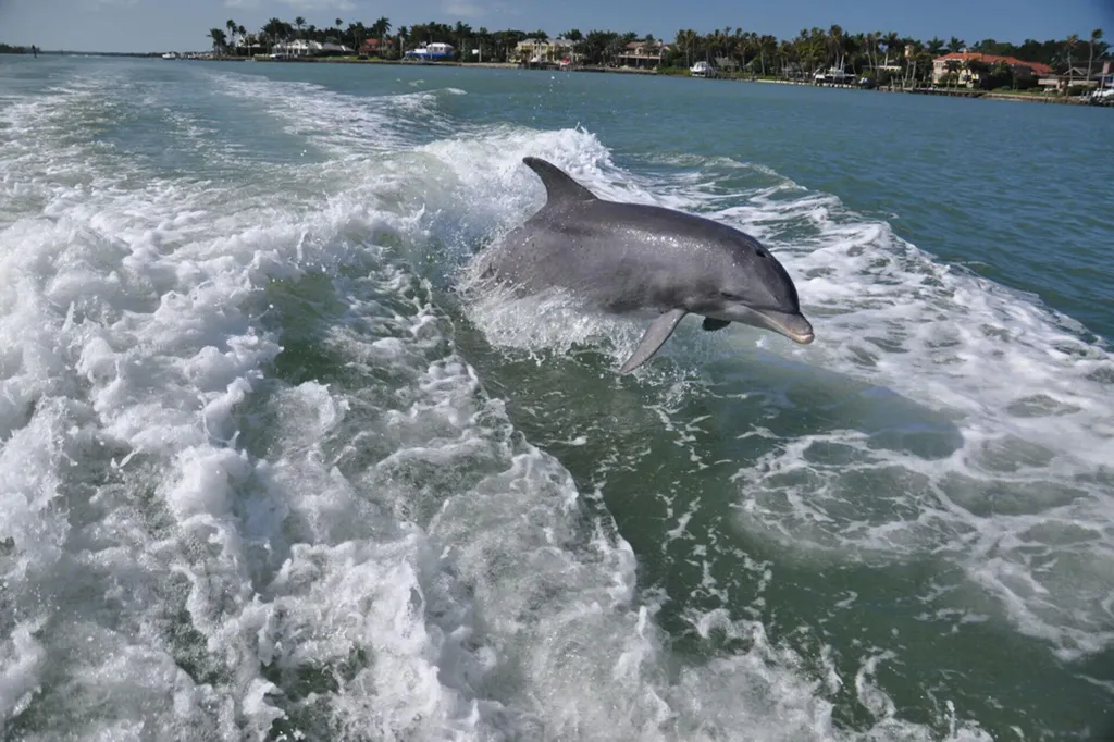 171 Sunset Cay Naples FL 34114