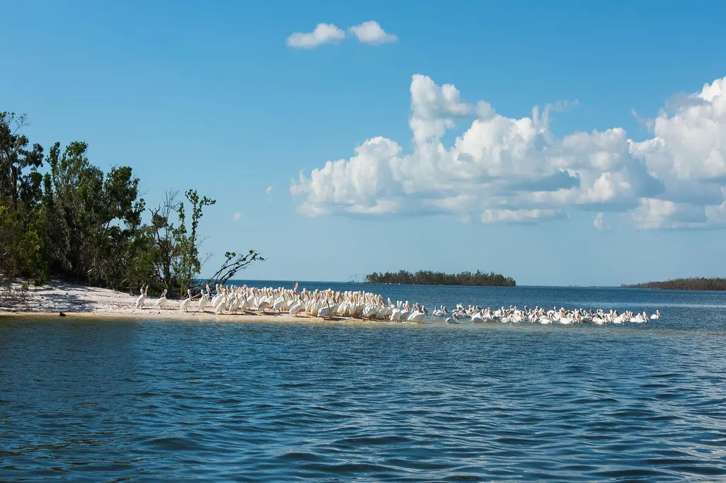 171 Sunset Cay Naples FL 34114