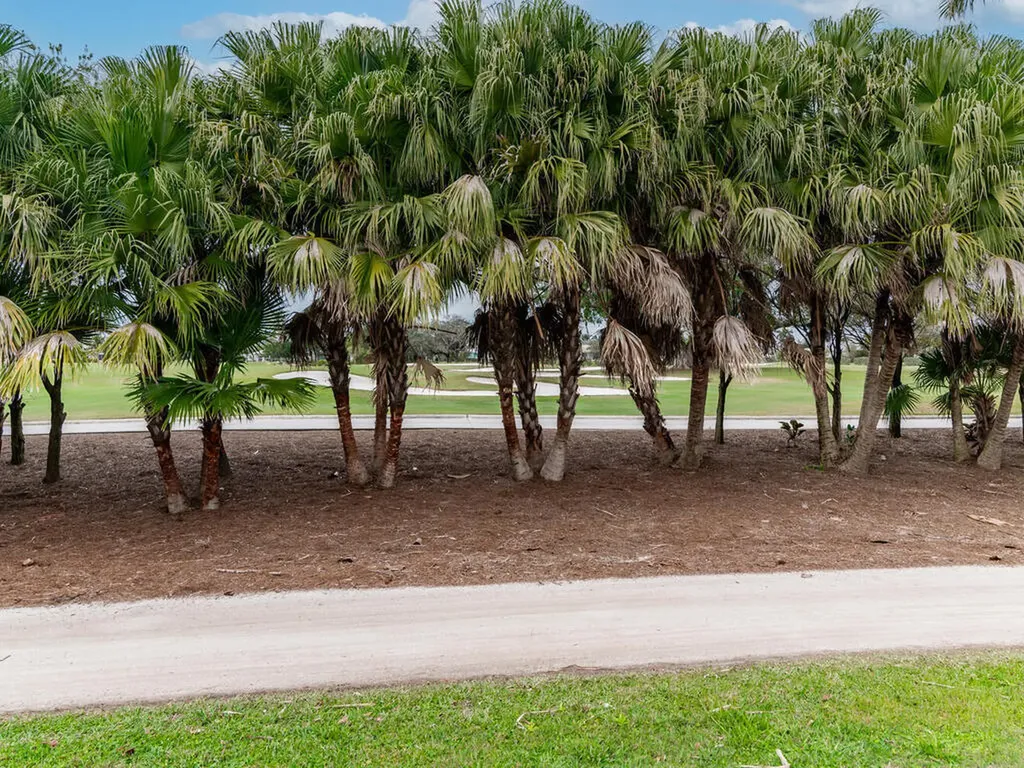 298 Shadowridge Court Marco Island FL 34145