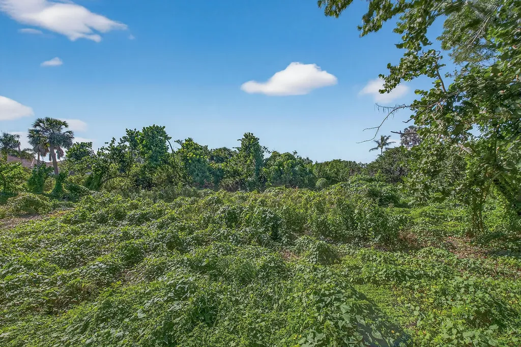 123 Sea Lavender Lane Marco Island FL 34145