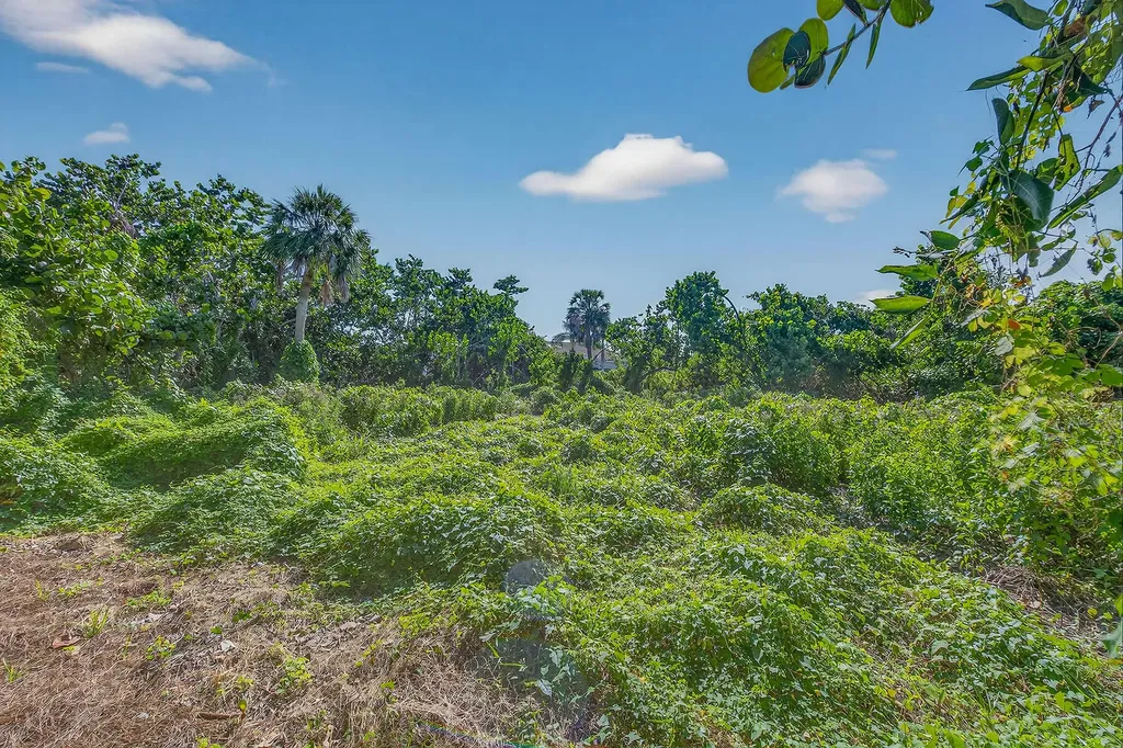 123 Sea Lavender Lane Marco Island FL 34145