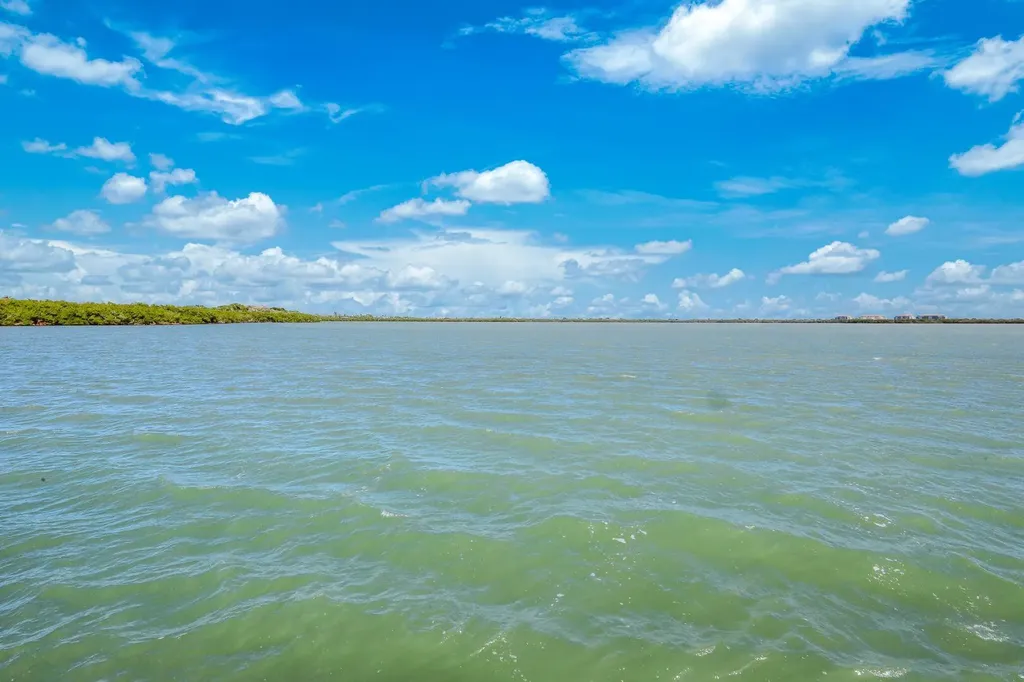 831 Caxambas Drive Marco Island FL 34145