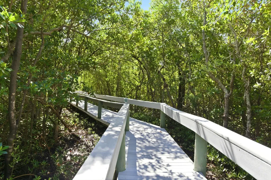 200 Stevens Landing Drive Marco Island FL 34145