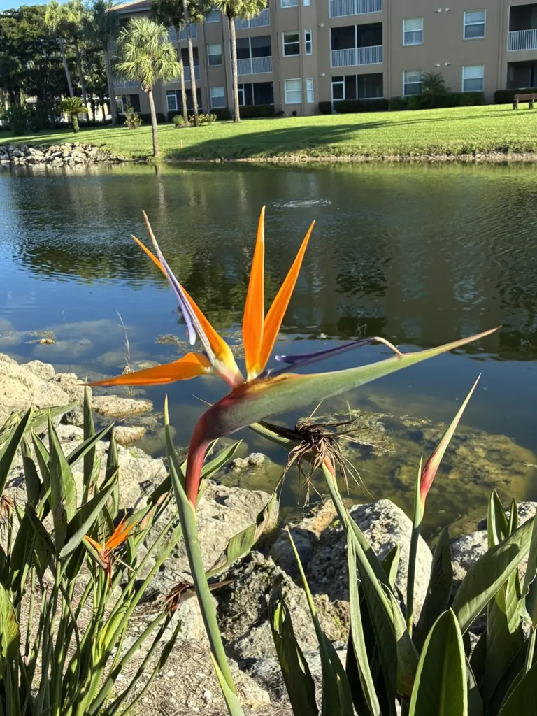 3840 Sawgrass Way Naples FL 34112