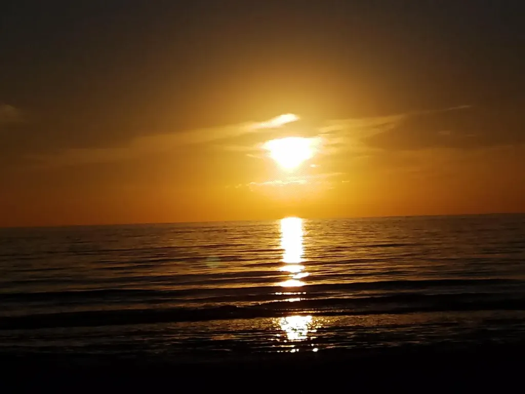 829 W Elkcam Circle Marco Island FL 34145