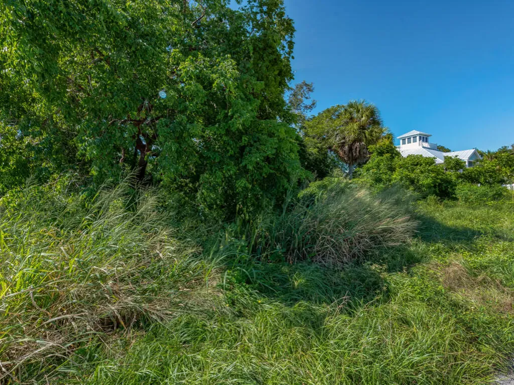 1989 Sheffield Avenue Marco Island FL 34145