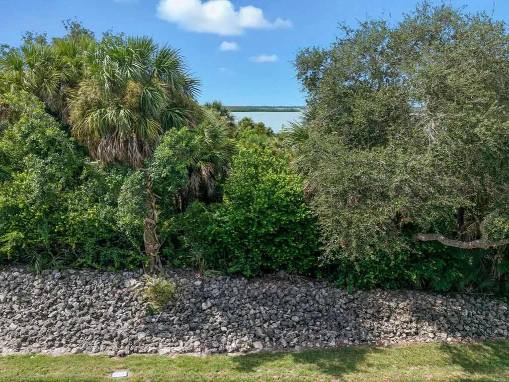 1097 Blue Hill Creek Drive Marco Island FL 34145