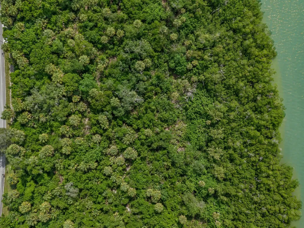 1097 Blue Hill Creek Drive Marco Island FL 34145