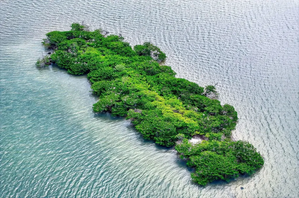 1411 Butterfield Court Marco Island FL 34145