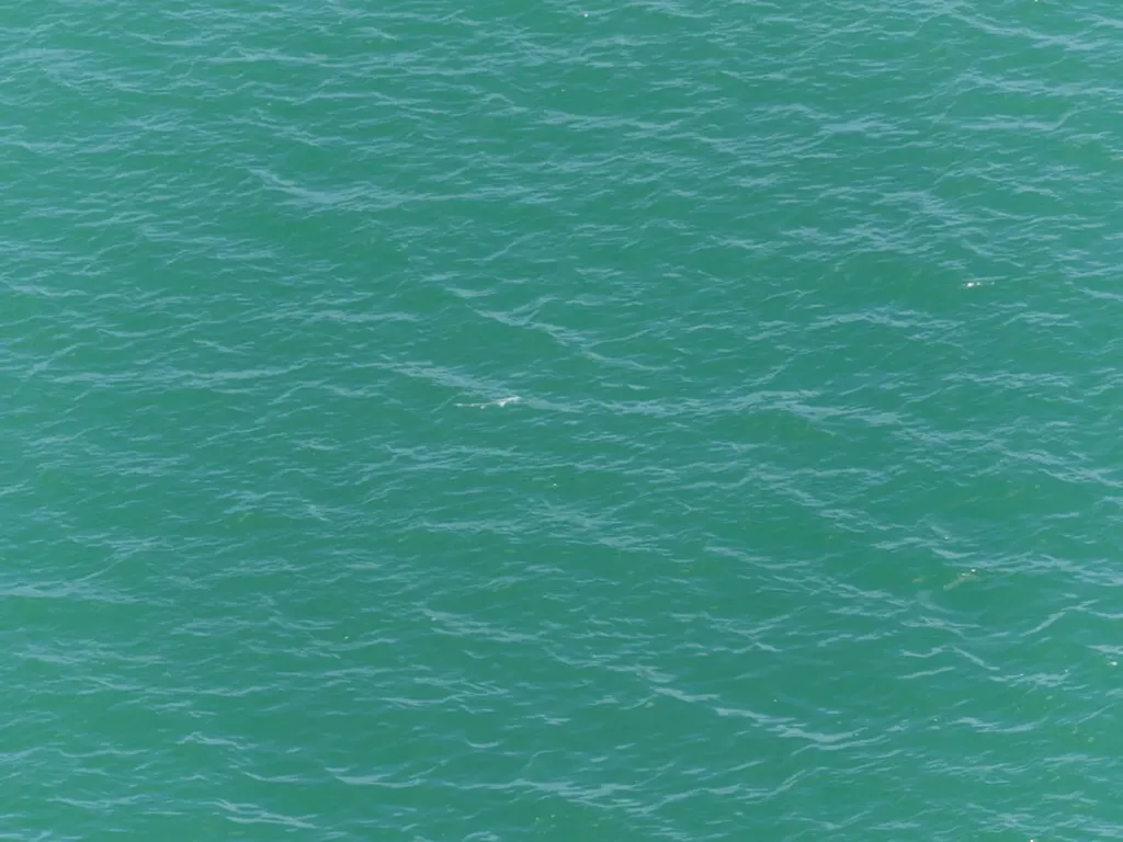 970 Cape Marco Drive Marco Island FL 34145