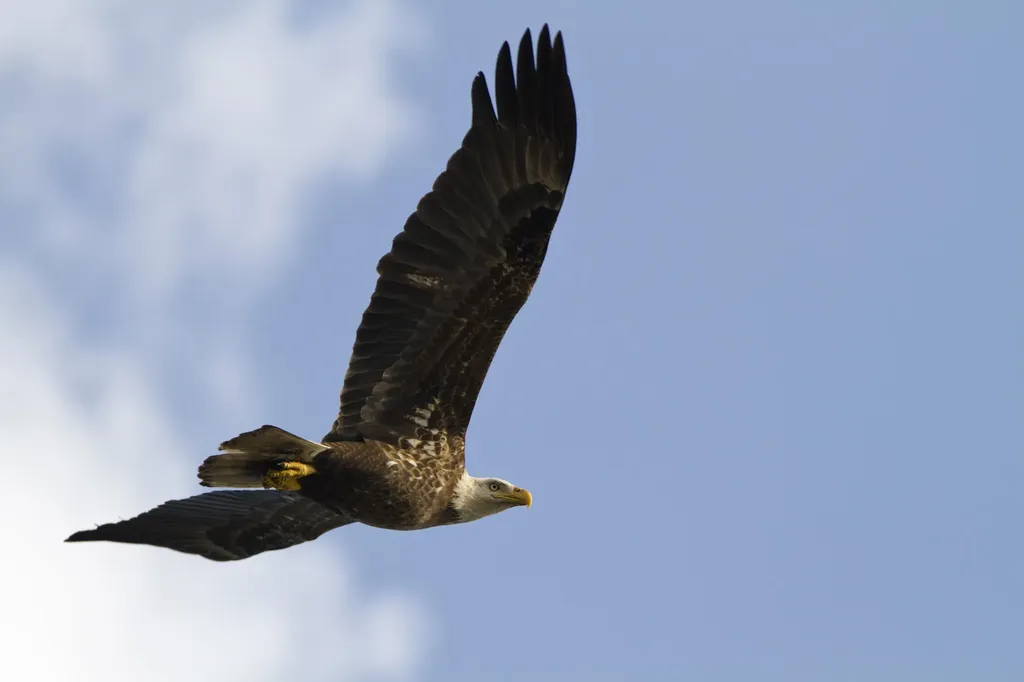 174 S Collier Boulevard Marco Island FL 34145