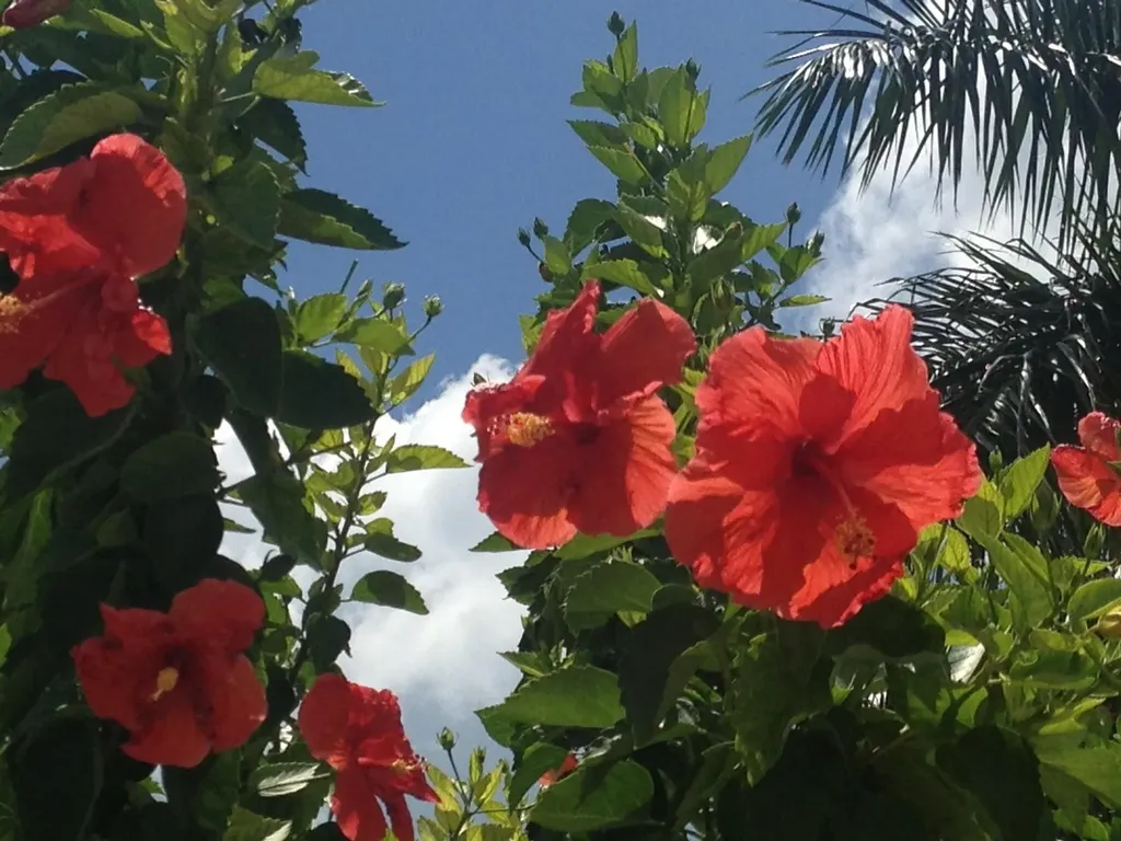 174 S Collier Boulevard Marco Island FL 34145