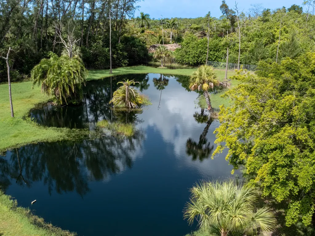 260 Price Street Naples FL 34113