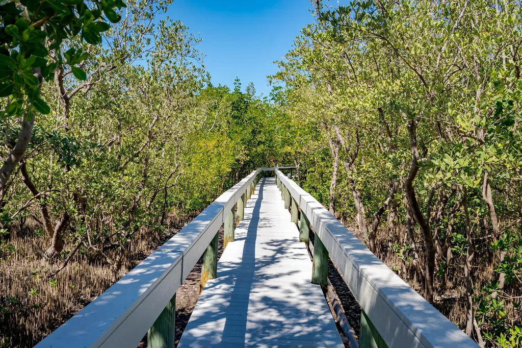 300 Stevens Landing Drive Marco Island FL 34145