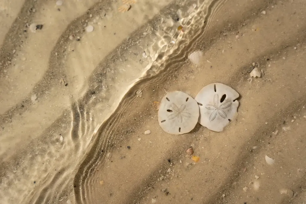 105 Jamaica Drive Naples FL 34113