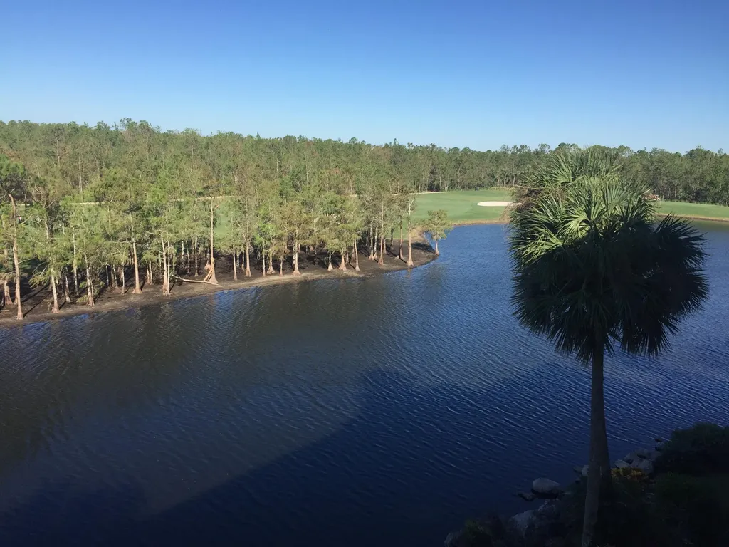 8610 Cedar Hammock Naples FL 34112