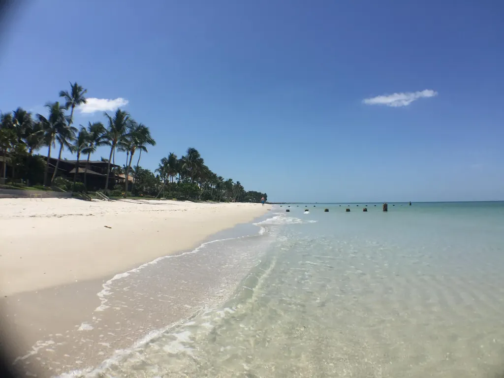 8610 Cedar Hammock Naples FL 34112