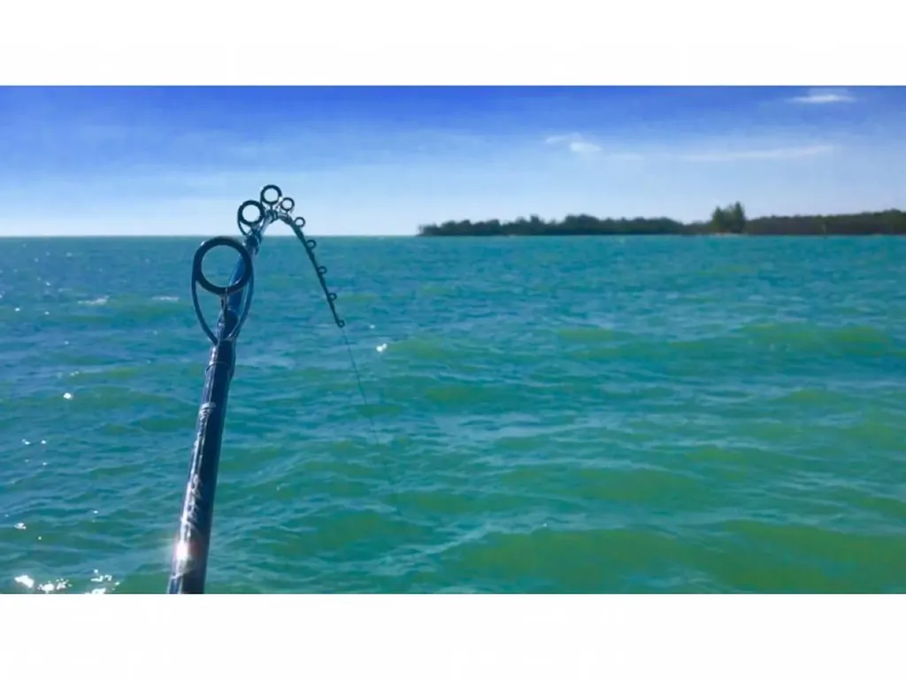 147 Capri Boulevard Naples FL 34113