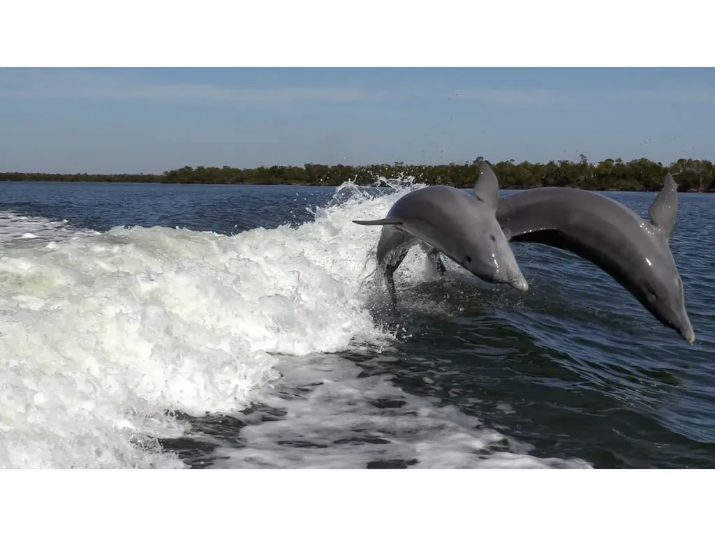 147 Capri Boulevard Naples FL 34113