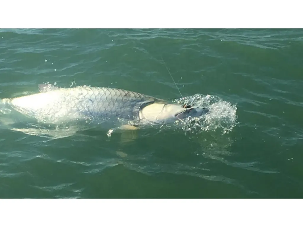 147 Capri Boulevard Naples FL 34113