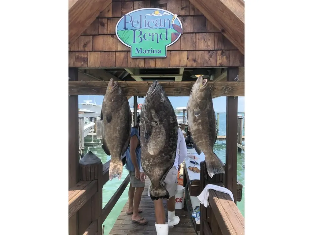 147 Capri Boulevard Naples FL 34113