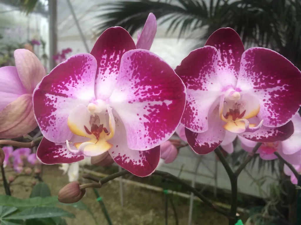 2223 San Marco Road Marco Island FL 34145