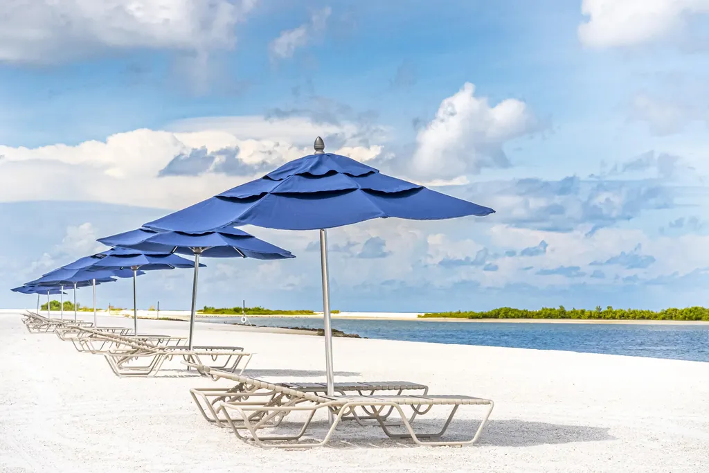 321 Wild Orchid Lane Marco Island FL 34145