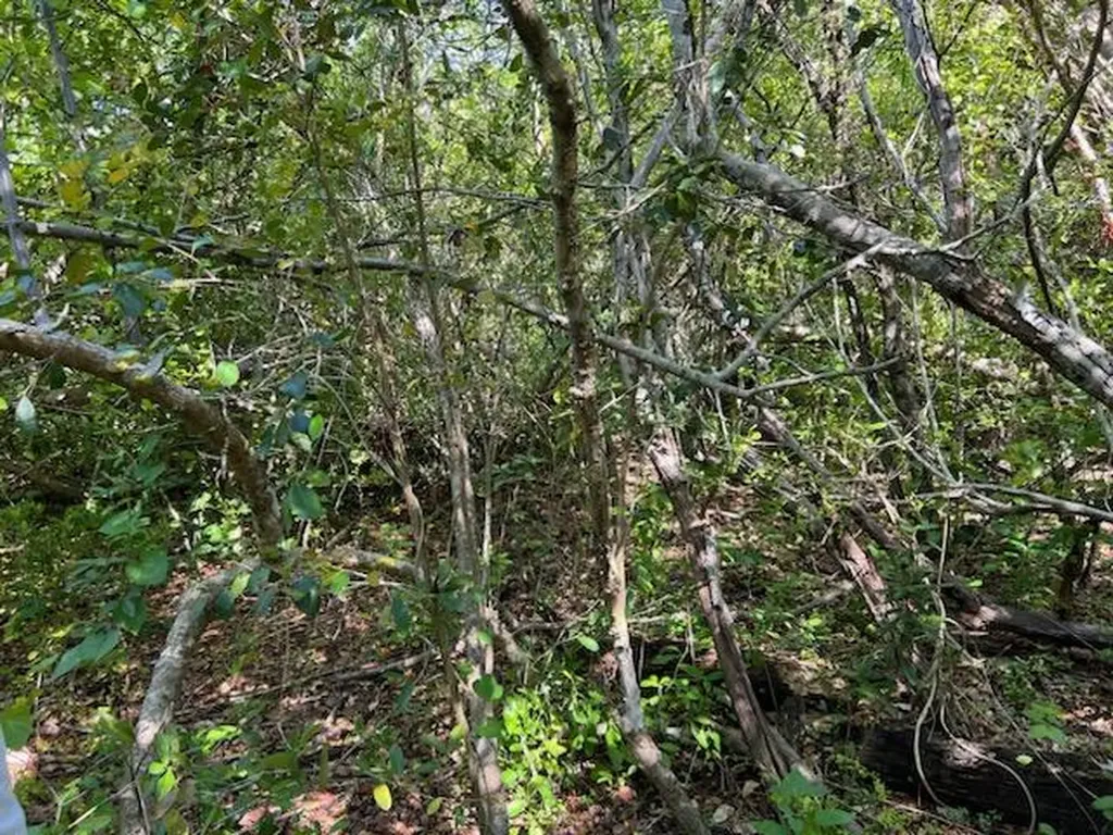 0 No Access Road Everglades City FL 34139