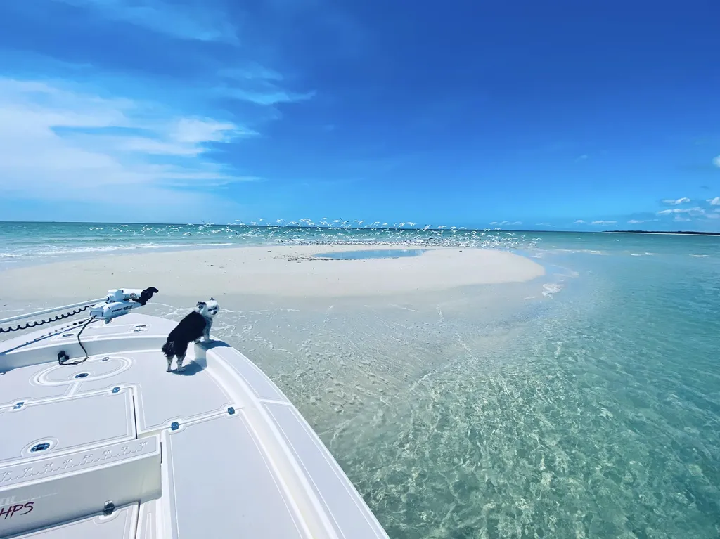 123 San Salvador Street Naples FL 34113