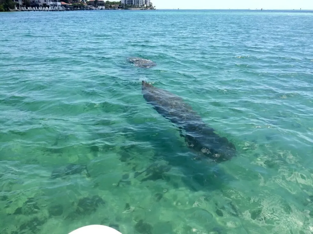 123 San Salvador Street Naples FL 34113