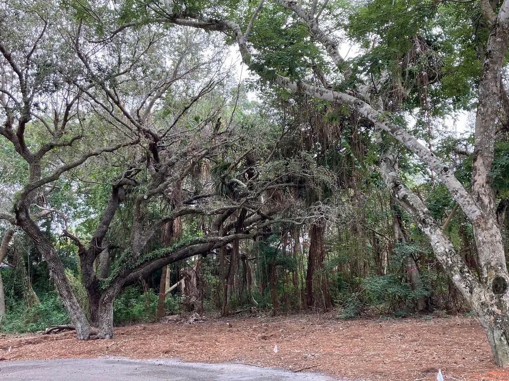 379 Morning Glory Lane Marco Island FL 34145